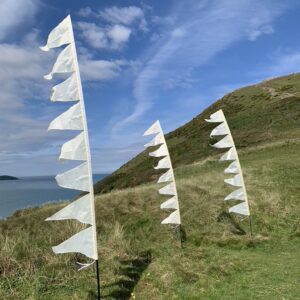 Wedding Hill Top 3 flags