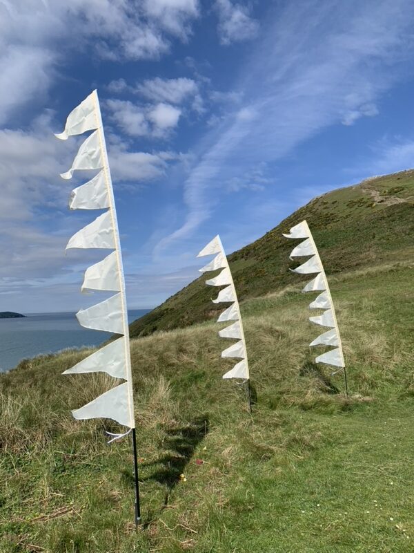 Wedding Hill Top 3 flags